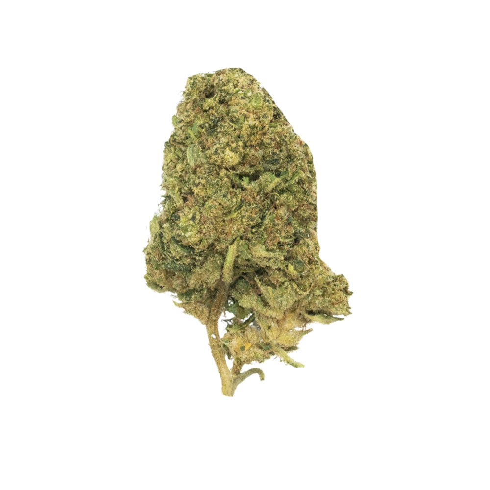 Close-up of a cannabis bud on a white background