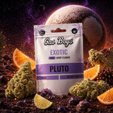 Pluto THCA Whole Flower 3.5g Bag