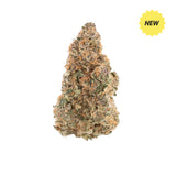 Limited Time Bundle: Tangerine Dream Flower & Holy Smokes Tee (Teracotta) – Unisex