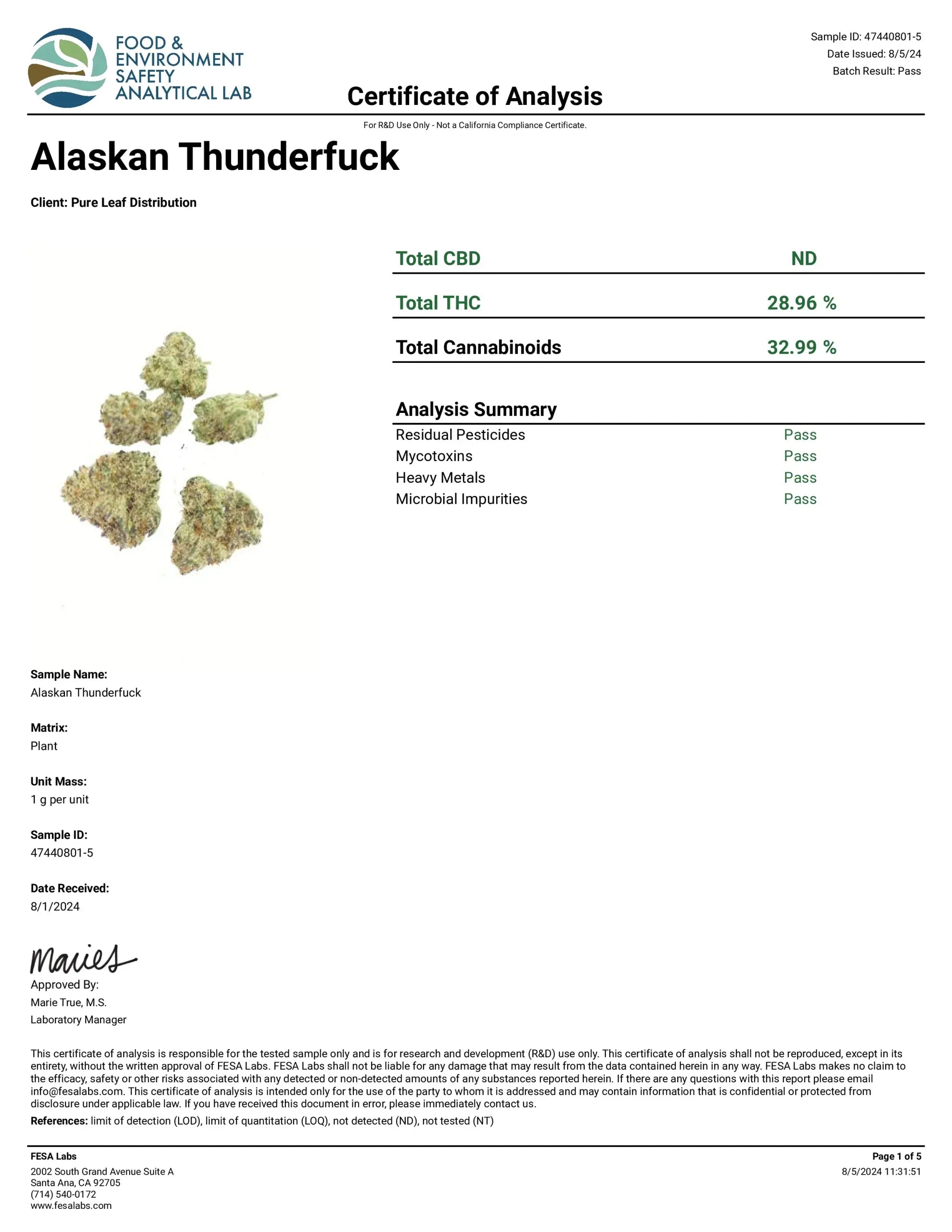 ALASKAN THUNDER F⚡︎⚡︎K
