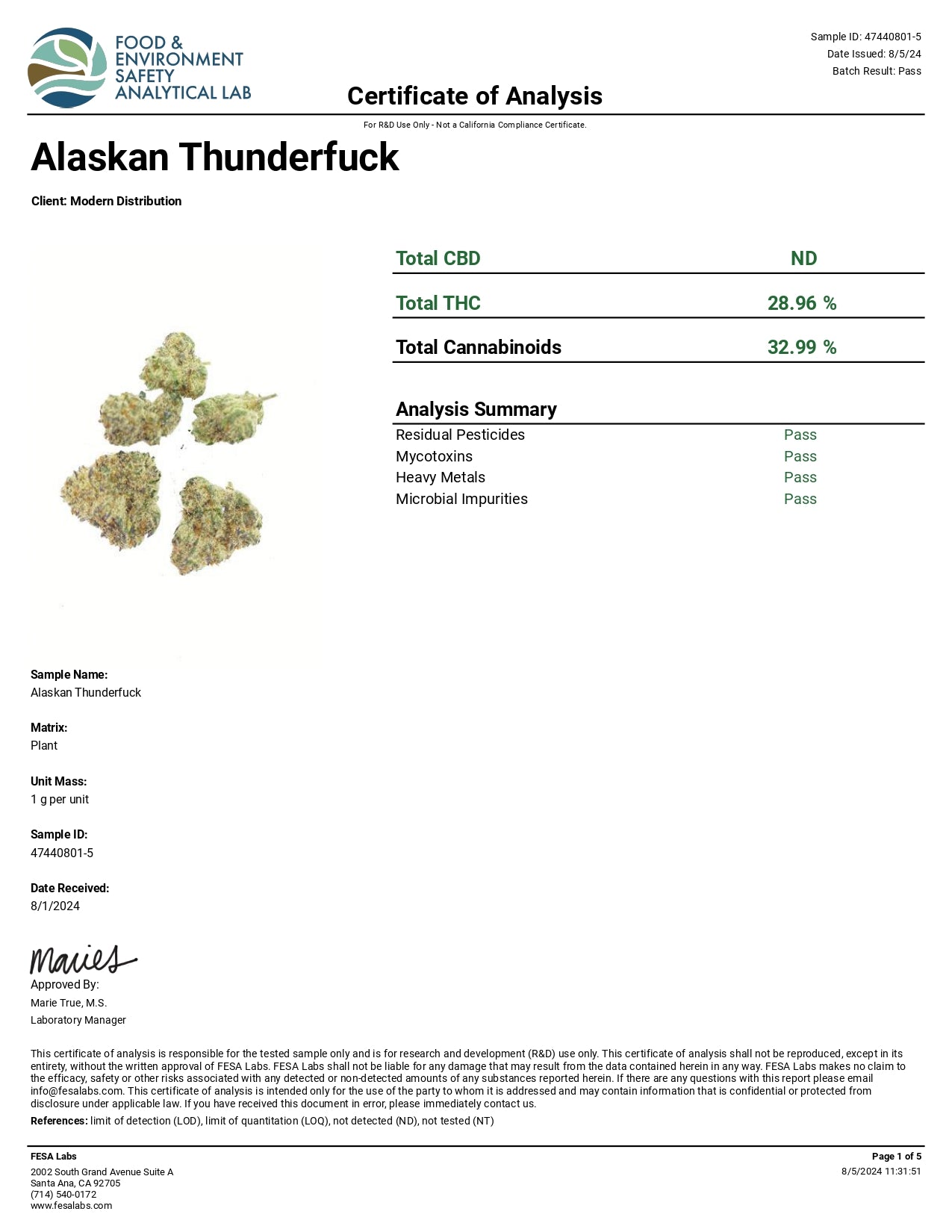 ALASKAN THUNDER F⚡︎⚡︎K