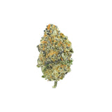 BLIZZARD BERRY