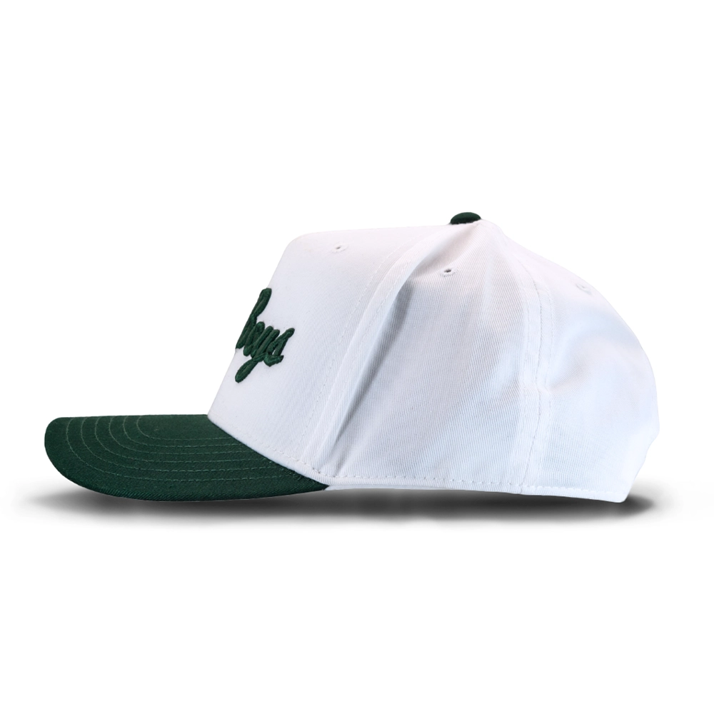 White baseball cap with dark green brim and embroidered green logo, shown from side profile against white background