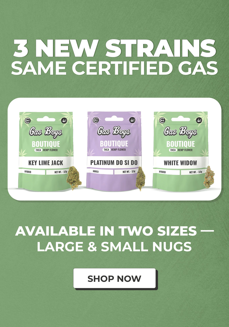 Three packages of Gas Boys Boutique on a green background with promotional text.