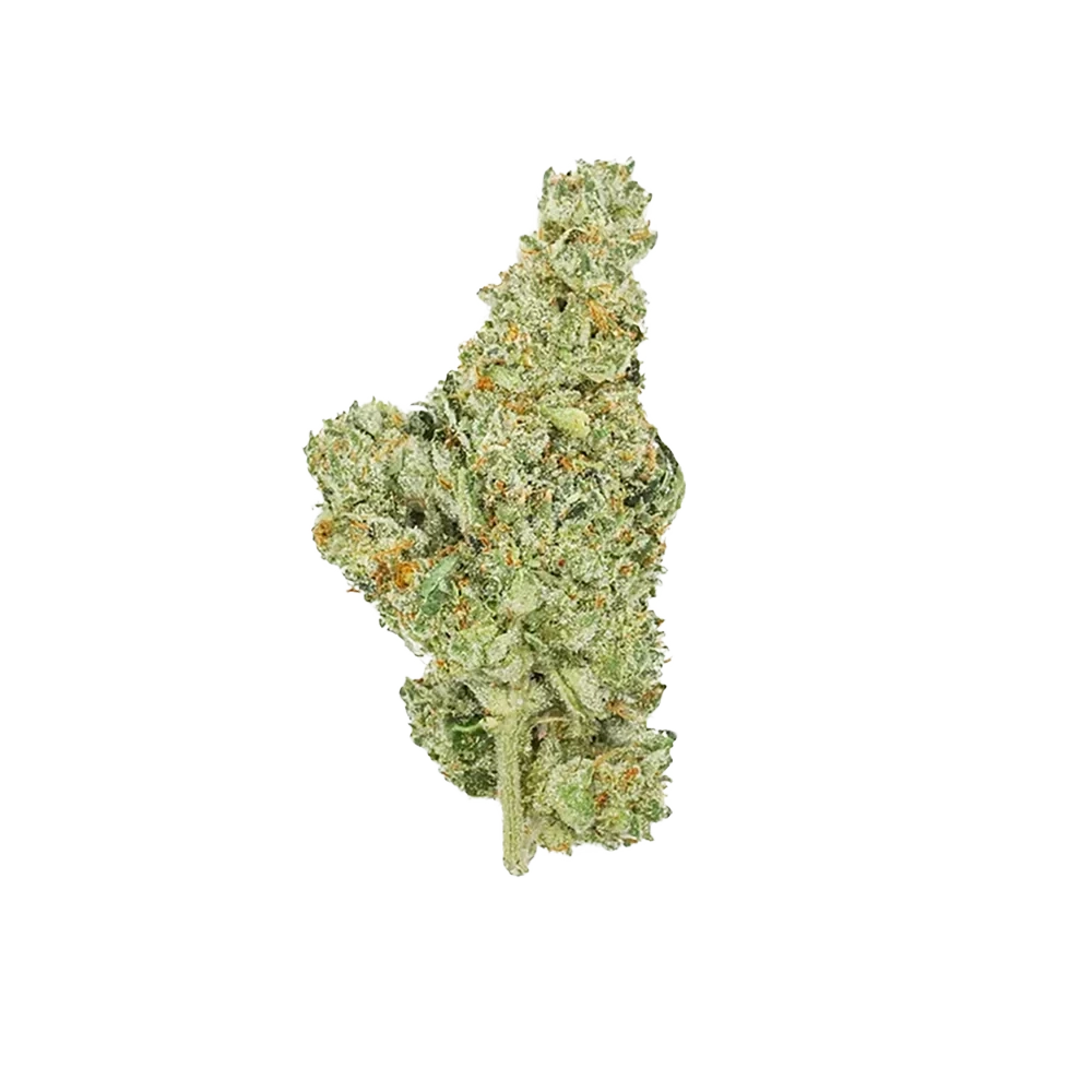 JET FUEL  THCA Whole Flower   3.5g Bag