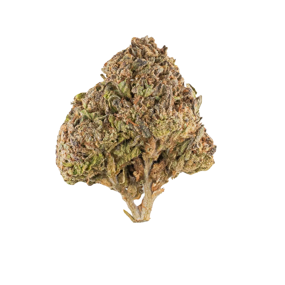 MOTOR BREATH THCA WHOLE FLOWER 3.5G BAG