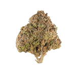 MOTOR BREATH THCA WHOLE FLOWER 3.5G BAG