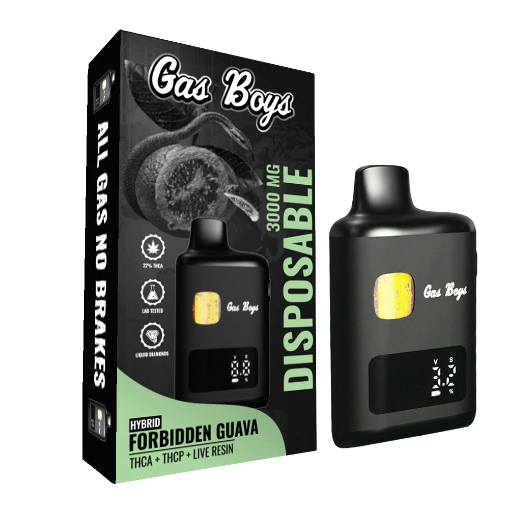 Gas Boys Forbidden Guava hybrid disposable vape, 3000mg, black device with green packaging and product details.