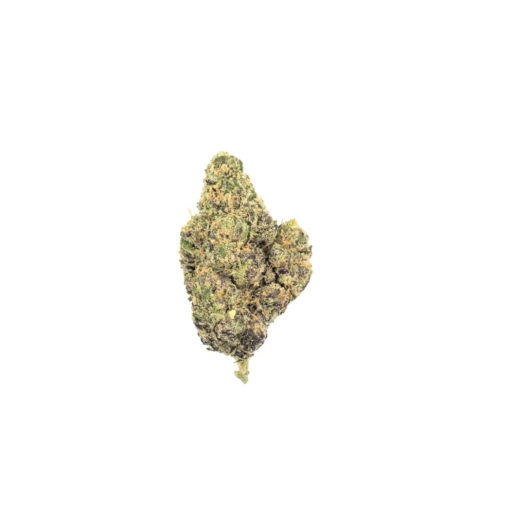 Northern Lights