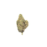 Northern Lights