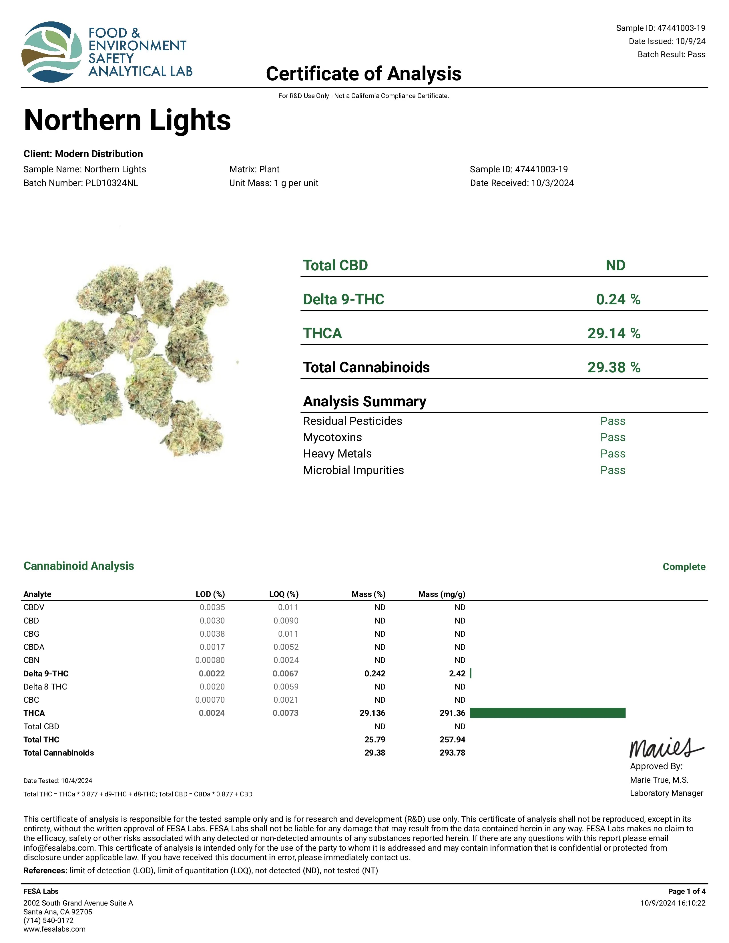 Northern Lights
