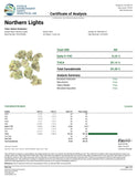 Northern Lights