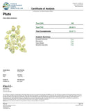 PLUTO INFUSED PRE-ROLL 1.5G