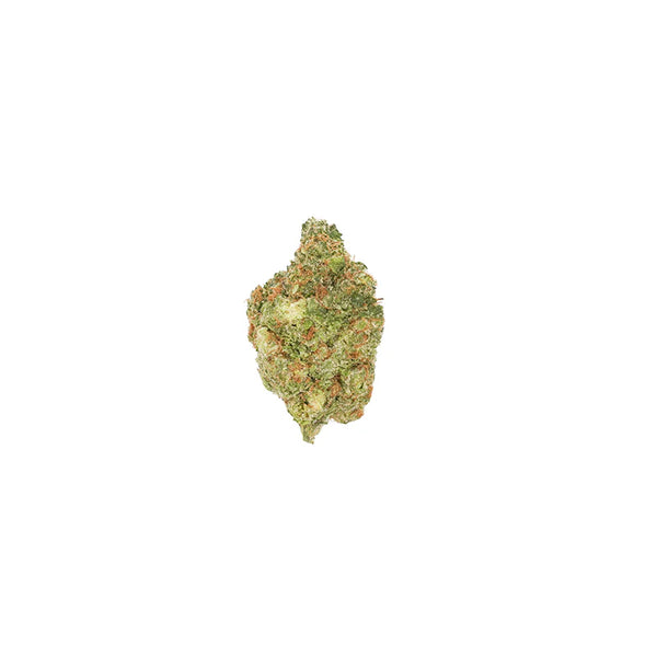 Pluto ☻ 2G BOUTIQ SWITCH - Frostiez x Pluto - Boutiq