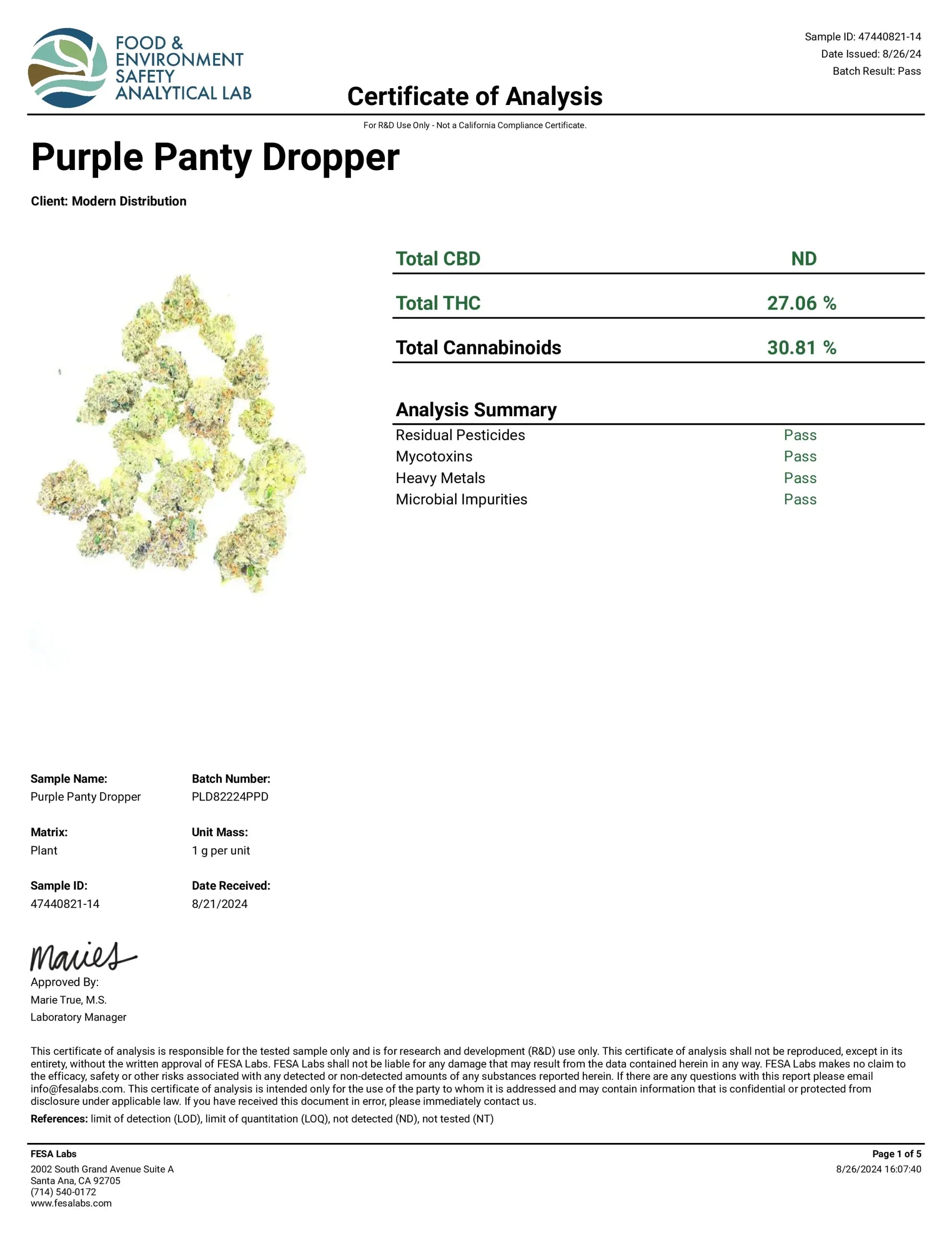 PURPLE PANTY DROPPER