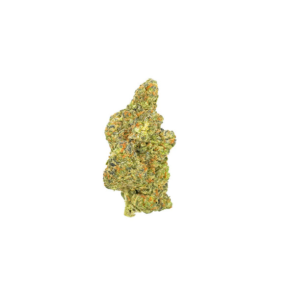 PURPLE PANTY DROPPER – Gasboys Co