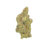 PURPLE PANTY DROPPER THCA Whole Flower 3.5g Bag