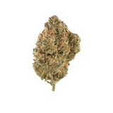 SEX PANTHER OG THCA WHOLE FLOWER 3.5G BAG