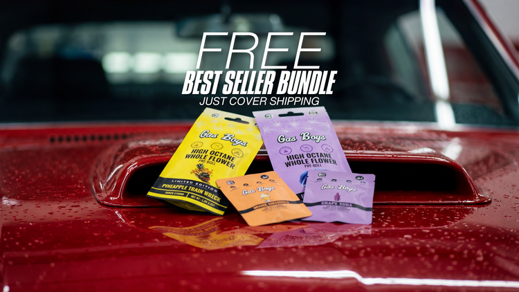 free_best_seller_bundle_web